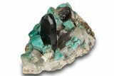 Amazonite Crystal Cluster with Smoky Quartz - Colorado #244504-1